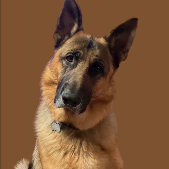 Meet your Posher, Linda - Picture 3 of 3